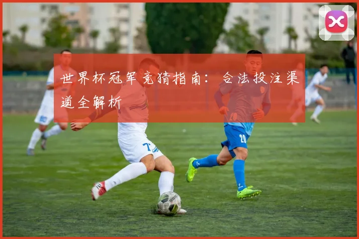 世界杯冠军竞猜指南：合法投注渠道全解析